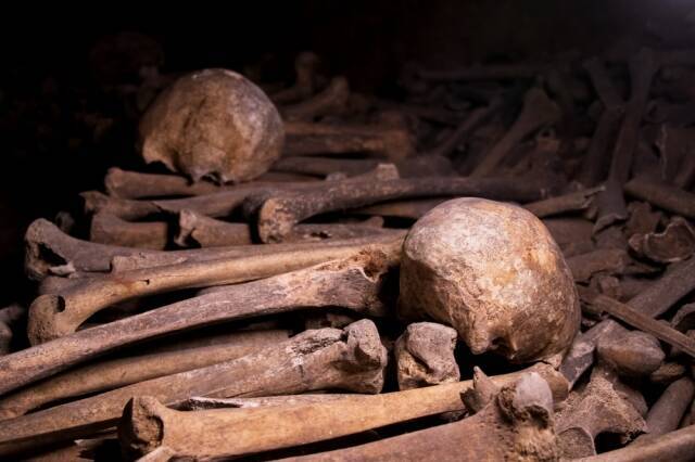 パリ 世界最大規模の地下墓地 カタコンブ ド パリ 年3月3日 エキサイトニュース 3 6