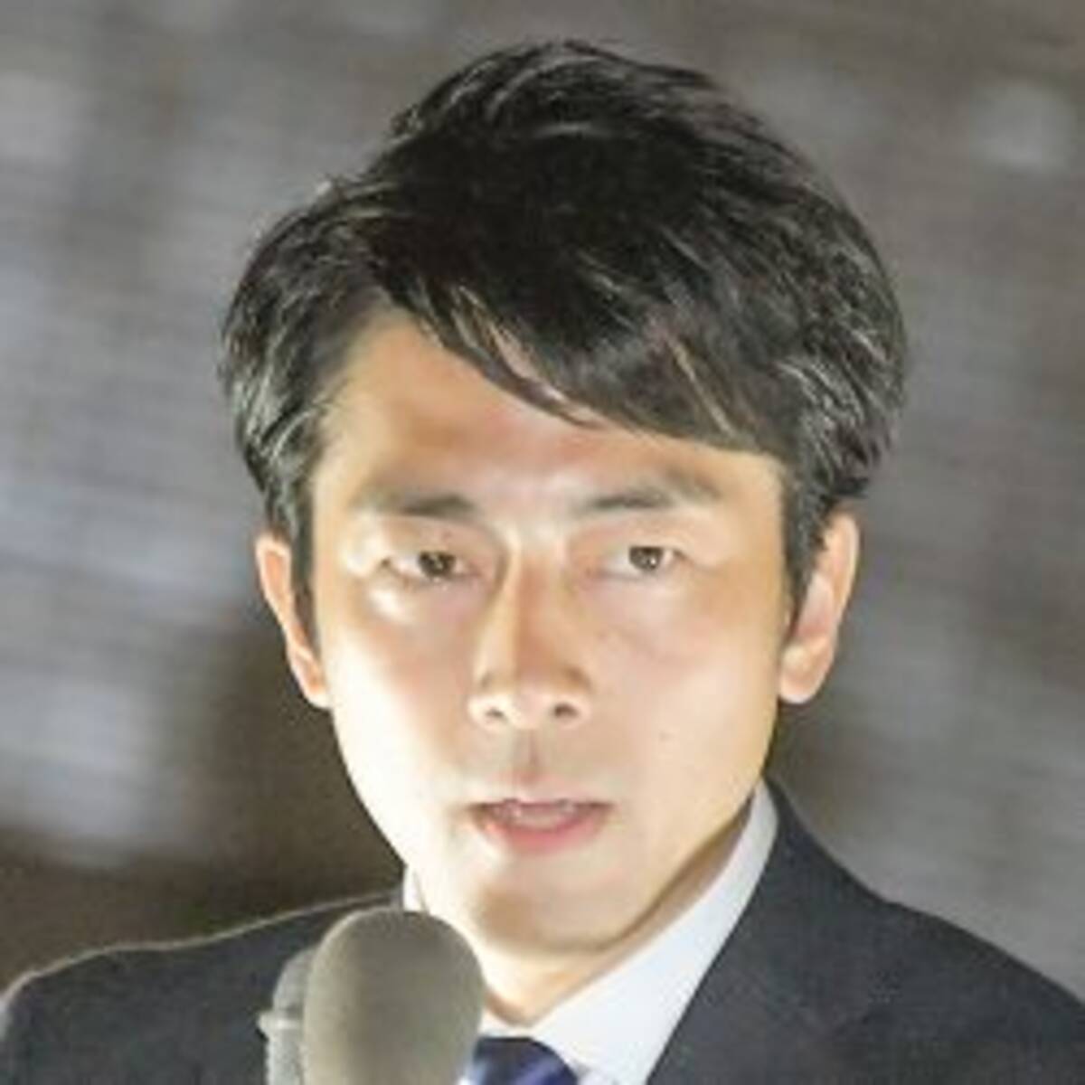 ポエム発言 小泉進次郎 無能説 払拭のキーマンはアノ嵐メンバーだって 19年9月23日 エキサイトニュース