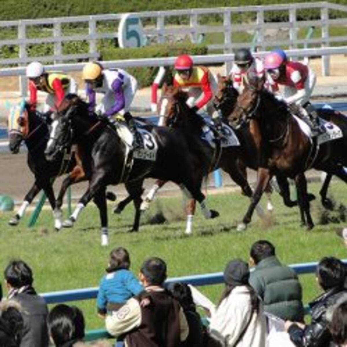 水戸正晴 松中みなみ キャプテン渡辺 片山良三 日本ダービー 激走指数ランキング 21年5月27日 エキサイトニュース