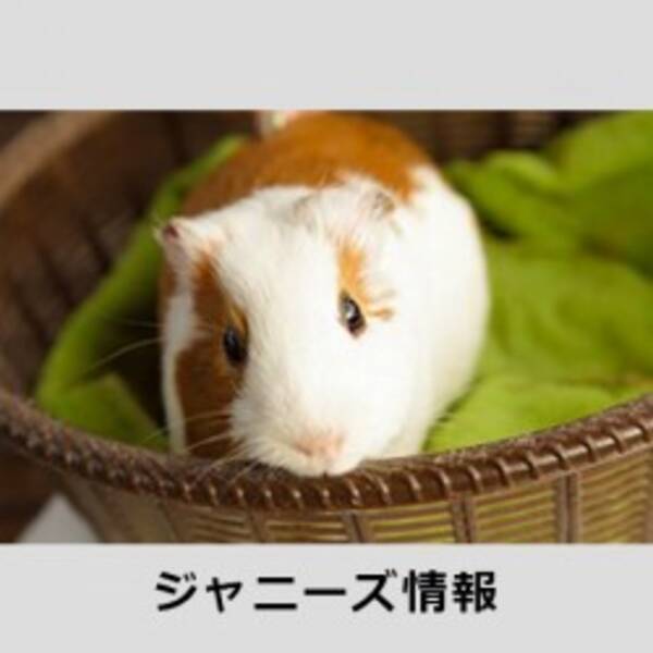 素顔は意外と野心家 キスマイ北山と関ジャニ大倉の知られざるもう一つの顔 15年11月26日 エキサイトニュース 素顔は意外と野心家 キスマイ北山と関ジャニ大倉の知られざるもう一つの顔 15年11月26日 エキサイトニュース