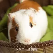 嵐 大野智 世界一難しい恋 ハグだけでヒクヒク 嵐ファンがスウィンギー着ぐるみ貸出に熱視線 16年6月10日 エキサイトニュース