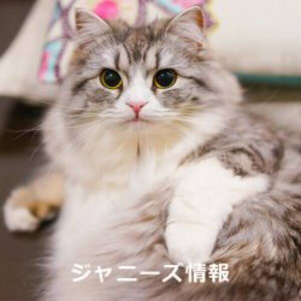 熱愛を告白 櫻井翔 小山慶一郎 24時間テレビ の 意味深テーマ に批判殺到 17年4月17日 エキサイトニュース