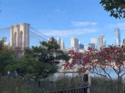 久慈暁子、ニューヨークの散歩動画がすっかり「ブルックリン観光ガイド」になっていた！