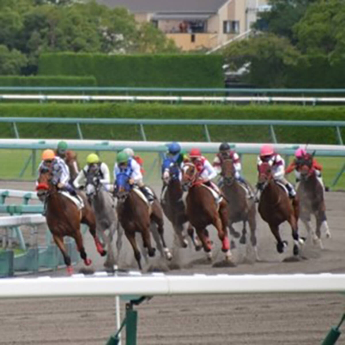 平成の競馬 珍 怪 事件18 4 真っ青な表情で引き揚げ 19年4月7日 エキサイトニュース