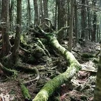 飲まず食わずの限界は 2015年11月22日 エキサイトニュース