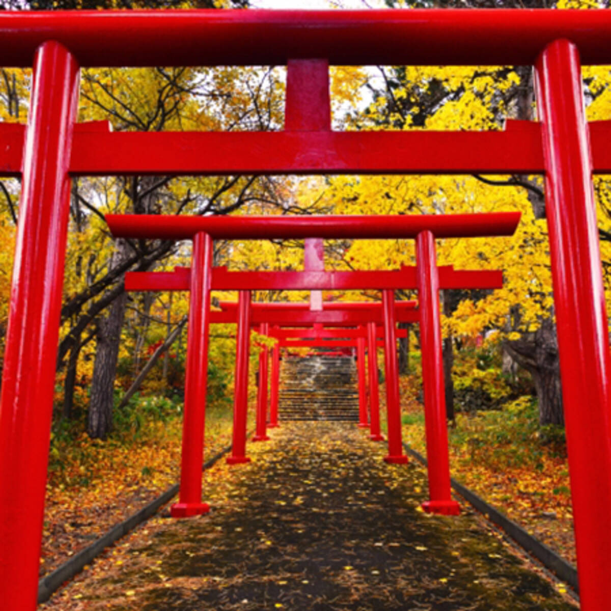 この資格でナンボ稼げる 16 ご利益が期待できる 神社検定 19年5月12日 エキサイトニュース