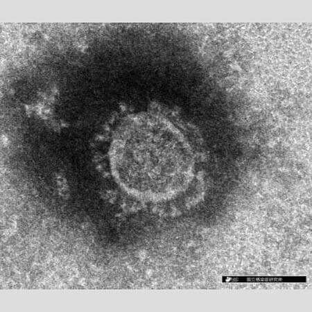 世界のコロナ 11変異株 危険度ランキング 1 空中を舞うエアロゾルが 21年7月10日 エキサイトニュース