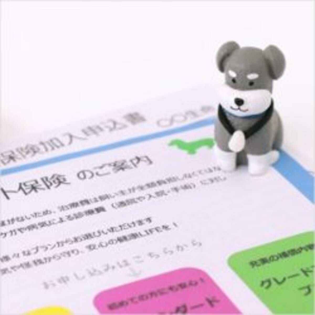 犬 猫 うさぎ ペットを買うなら知っておきたい ペット保険 のこと 年12月7日 エキサイトニュース