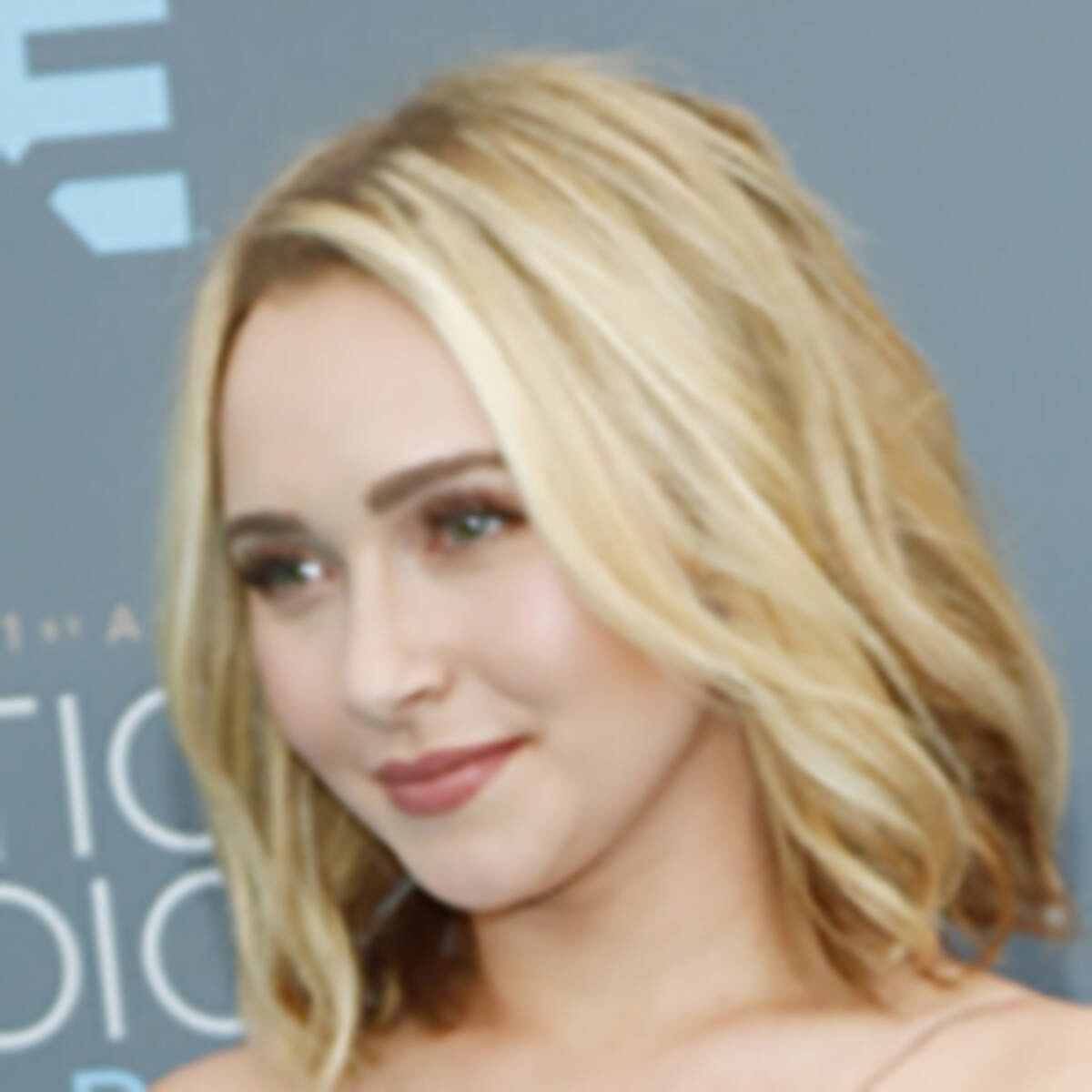 米国の女優ヘイデン パネッティーアが 犬の世話係 と法廷闘争 16年7月25日 エキサイトニュース