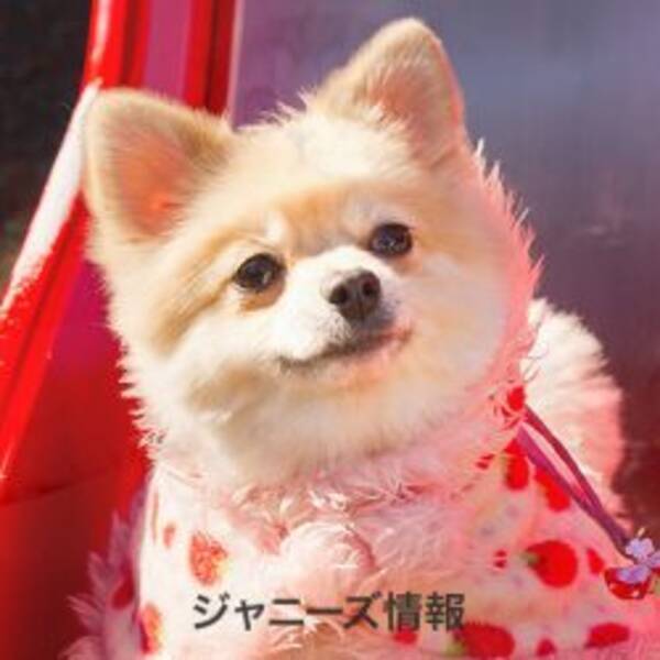 スマステに中居正広が出演 Smap解散後の初共演で衝撃の告白が 17年4月21日 エキサイトニュース