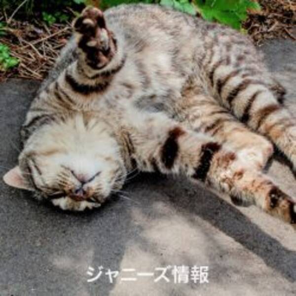 キムタク 無限の住人 がついにランク外 カンヌのヨイショ記事も効かず 17年5月23日 エキサイトニュース