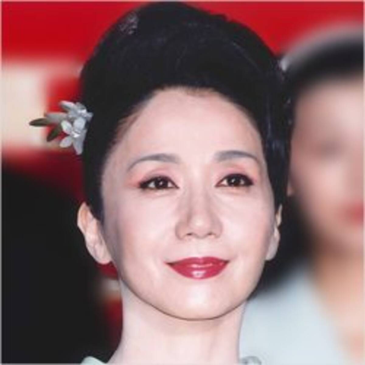 岩下志麻 77歳のシワひとつない美顔 の驚きの声 18年2月19日 エキサイトニュース