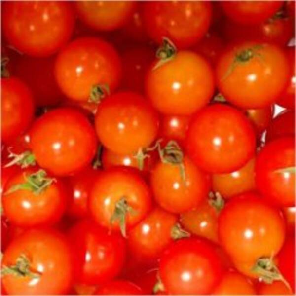 プチトマト でシミなどの肌トラブル対策ができる理由 年2月10日 エキサイトニュース