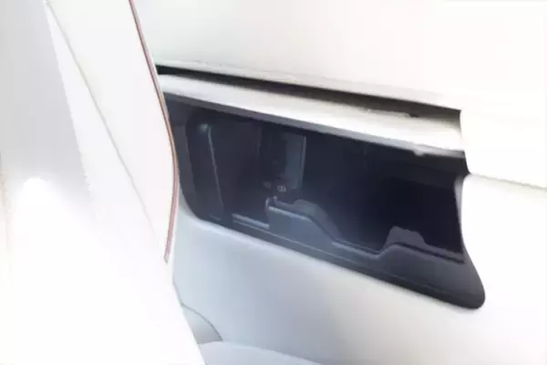 「アイドルがレクサスLMの“アメイジング”後席体験！ 家超えの超豪華空間に大興奮」の画像