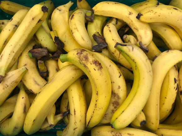 スタバ注目の新作。「バナナ ブリュレ フラペチーノ」本来破棄される規格外バナナを使用