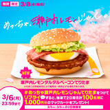 「マクドナルド“春はてりたま” 今年は「瀬戸内レモンタルタルベーコンてりたま」も登場」の画像8