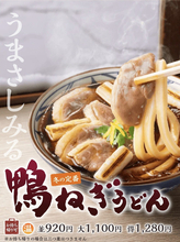 丸亀製麺「鴨ねぎうどん」今年も登場！ コク深い鴨だしがたまらない冬の至福