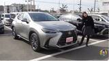 「【衝撃価格】190万円台から狙える中古のレクサス「NX」をガチで推したい4つの理由」の画像1