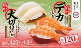 「本鮪中とろ110円～！ スシローに「デカえび」「大切りいか」など春ネタ」の画像3