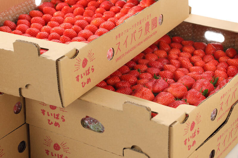 メロンマンゴー食べ放題！さらに、アイスにポテトも！季節のフルパラコースが始まる