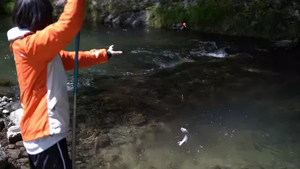 「カワサキ「Z250」と行く自給自足のキャンプツーリング」の画像