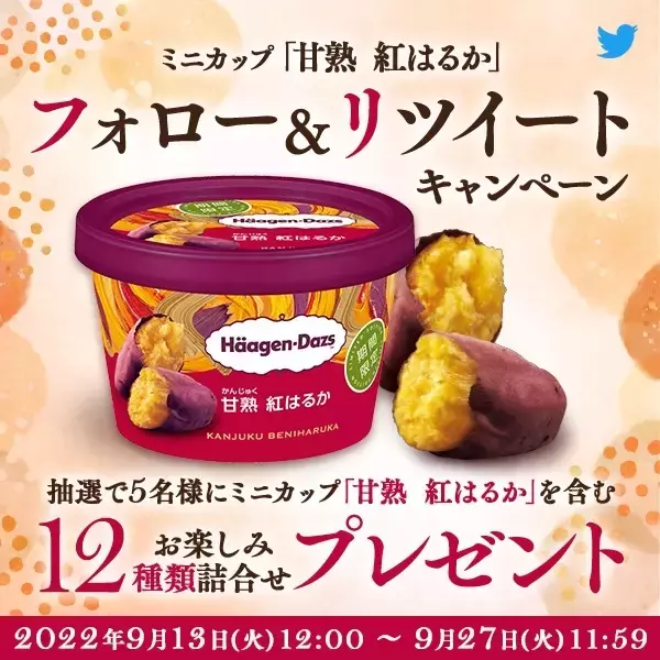 「秋の味覚の焼き芋がハーゲンダッツに登場 「甘熟（かんじゅく） 紅はるか」」の画像