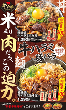 総重量500g超！牛ハラミ×豚バラのボリューム丼が登場！「米より肉」な大迫力