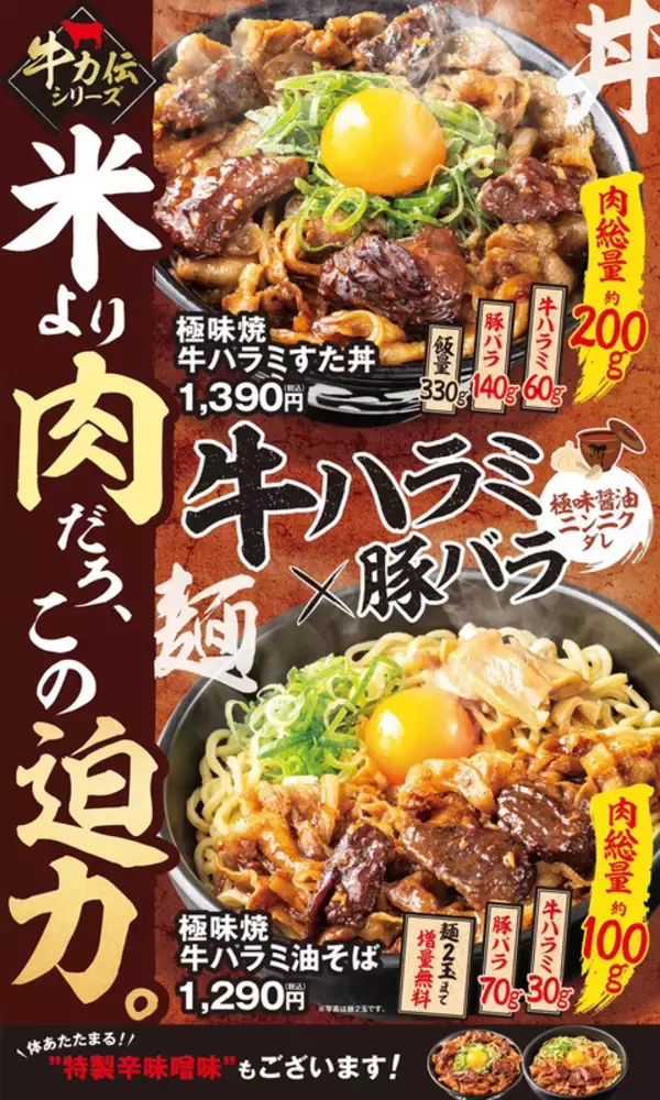 総重量500g超！牛ハラミ×豚バラのボリューム丼が登場！「米より肉」な大迫力