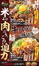 総重量500g超！牛ハラミ×豚バラのボリューム丼が登場！「米より肉」な大迫力
