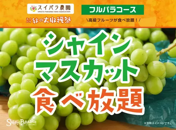 「塩むすび✕豚汁食べ放題！新米「はえぬき」のおむすびを好きなだけ食べられる」の画像