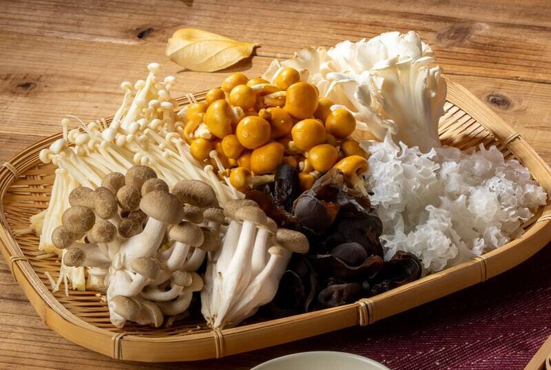 「鴨しゃぶ」食べ放題2969円～！ 牛も豚も鶏も好きなだけ　9月10日スタート