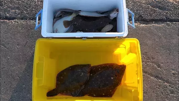 「クロスカブで行く！ 1万円でいろんな魚がめっちゃ釣れるオホーツク海、船釣り体験ツーリング」の画像