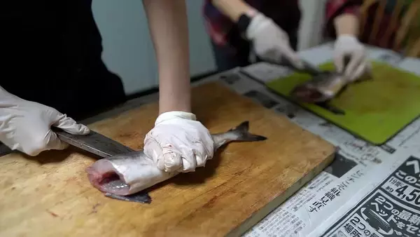 「クロスカブで行く！ 1万円でいろんな魚がめっちゃ釣れるオホーツク海、船釣り体験ツーリング」の画像