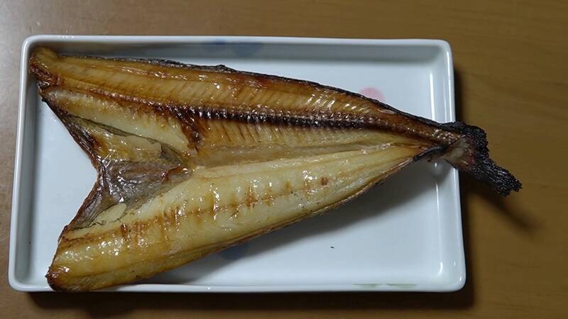 クロスカブで行く！ 1万円でいろんな魚がめっちゃ釣れるオホーツク海、船釣り体験ツーリング
