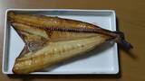 「クロスカブで行く！ 1万円でいろんな魚がめっちゃ釣れるオホーツク海、船釣り体験ツーリング」の画像23