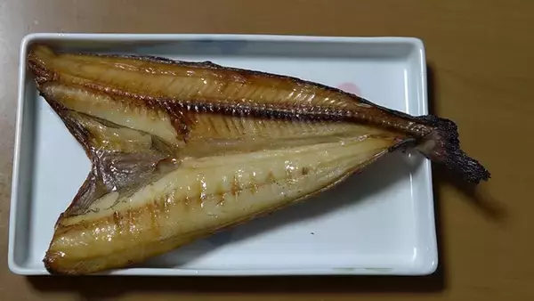 「クロスカブで行く！ 1万円でいろんな魚がめっちゃ釣れるオホーツク海、船釣り体験ツーリング」の画像