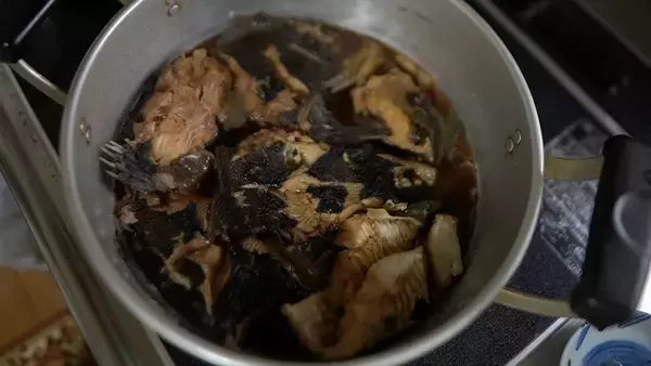 「クロスカブで行く！ 1万円でいろんな魚がめっちゃ釣れるオホーツク海、船釣り体験ツーリング」の画像