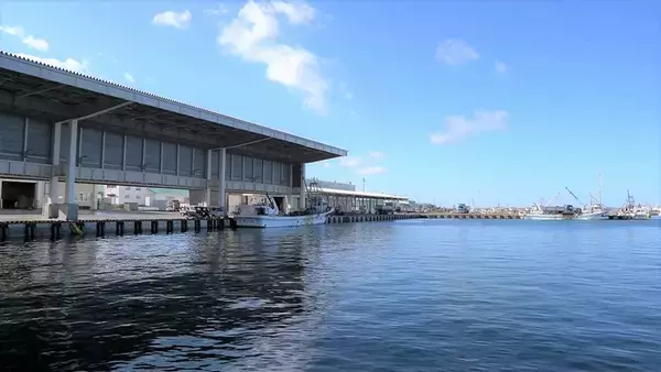 「クロスカブで行く！ 1万円でいろんな魚がめっちゃ釣れるオホーツク海、船釣り体験ツーリング」の画像
