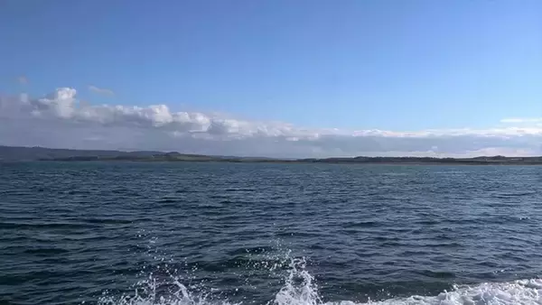 「クロスカブで行く！ 1万円でいろんな魚がめっちゃ釣れるオホーツク海、船釣り体験ツーリング」の画像