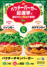 パクチー5倍のやりすぎバーガーも！「パクチーバーガー」に新作