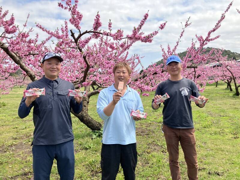 桃消費量日本一の「福島の桃」果汁をたっぷり使用したアイスバー「とろける食感　ぎゅっと桃」 ファミマで発売中