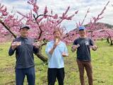 「桃消費量日本一の「福島の桃」果汁をたっぷり使用したアイスバー「とろける食感　ぎゅっと桃」 ファミマで発売中」の画像4