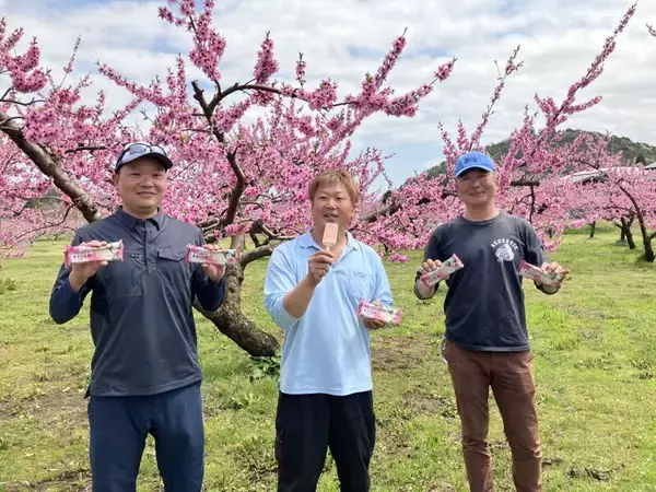 「桃消費量日本一の「福島の桃」果汁をたっぷり使用したアイスバー「とろける食感　ぎゅっと桃」 ファミマで発売中」の画像