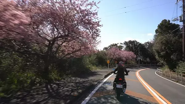 「スズキ「GIXXER 150（ジクサー150）」でクサヤ探しの旅に出た！」の画像