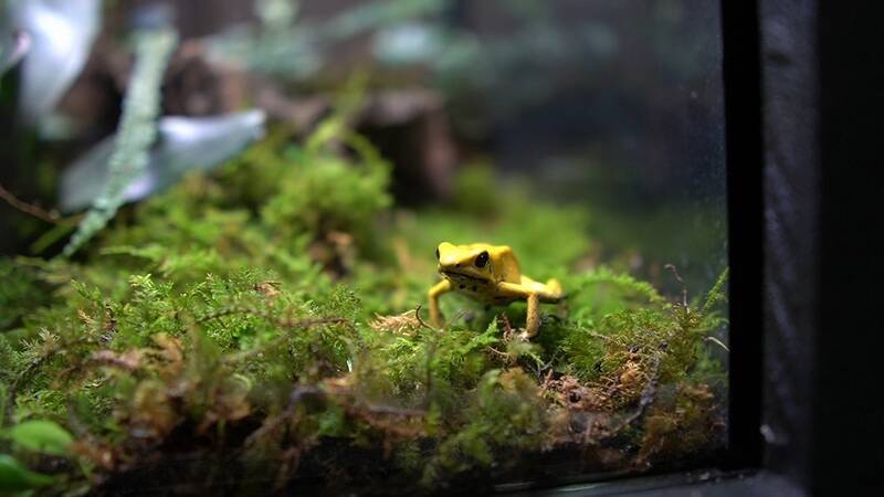 スズキ「GIXXER 150（ジクサー150）」でクサヤ探しの旅に出た！