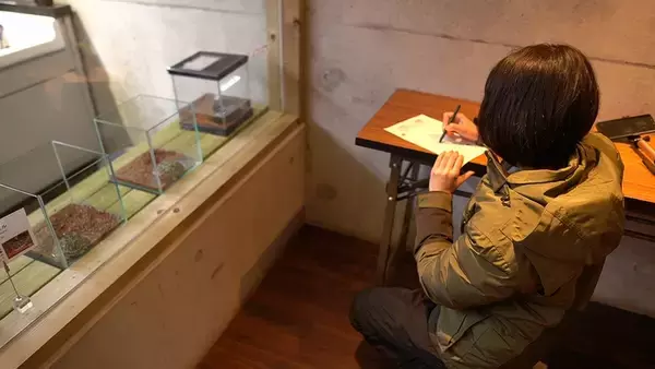 「スズキ「GIXXER 150（ジクサー150）」でクサヤ探しの旅に出た！」の画像