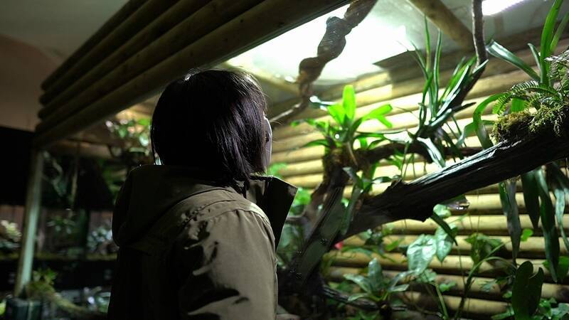 スズキ「GIXXER 150（ジクサー150）」でクサヤ探しの旅に出た！