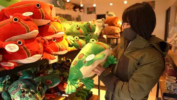 「スズキ「GIXXER 150（ジクサー150）」でクサヤ探しの旅に出た！」の画像