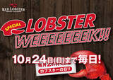 「毎日「生ビール」「ハイボール」半額！ レッドロブスターがスペシャル企画」の画像1