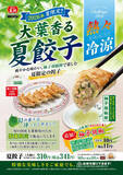 「【本日】餃子の王将初、大葉たっぷり「夏餃子」スタート」の画像1
